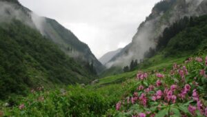 Great Himalayan National Park (GHNP) – A World Heritage Site